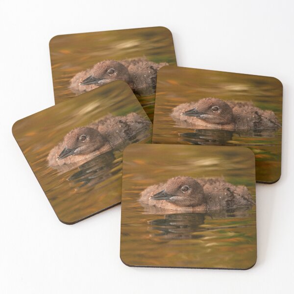 Item preview, Loon Chick 5 designed and sold by Loon-Images.