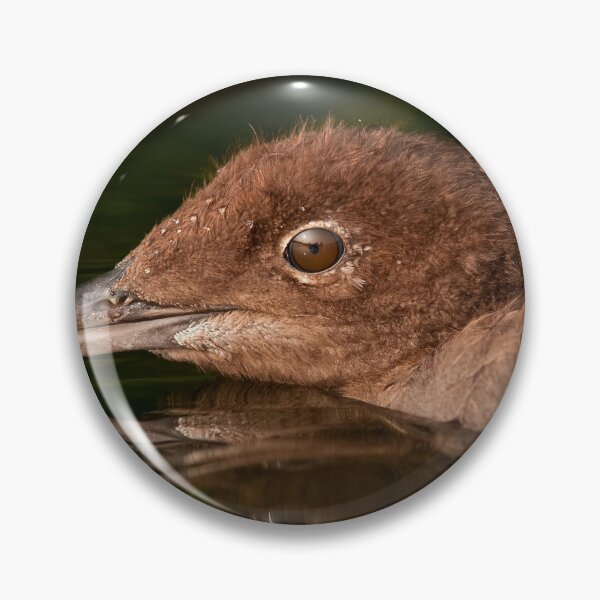Item preview, Loon Chick 4 designed and sold by Loon-Images.