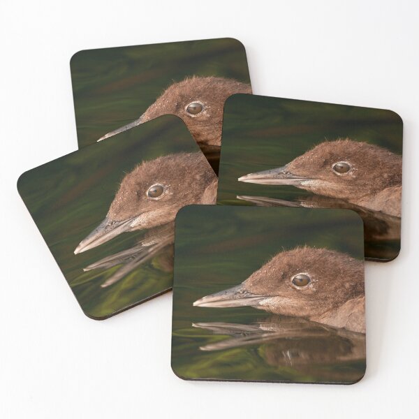 Item preview, Loon Chick 4 designed and sold by Loon-Images.