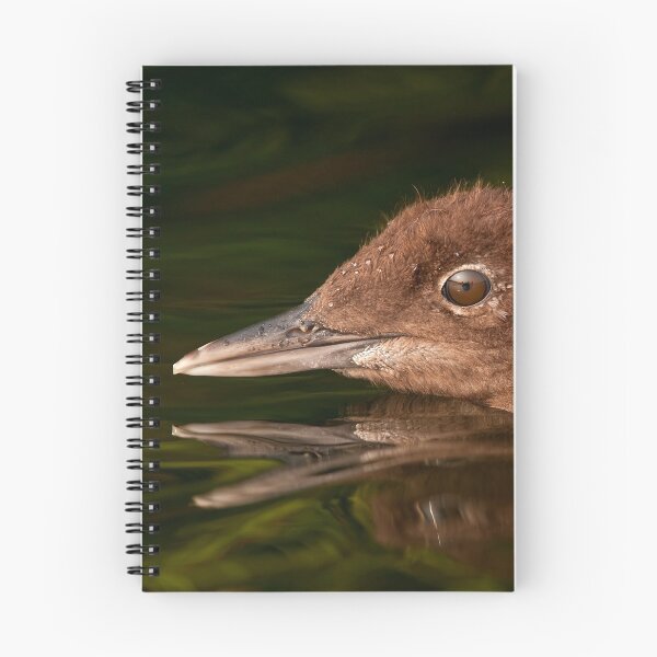 Item preview, Loon Chick 4 designed and sold by Loon-Images.