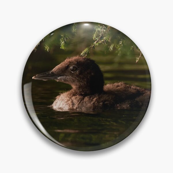 Item preview, Loon Chick 3 designed and sold by Loon-Images.