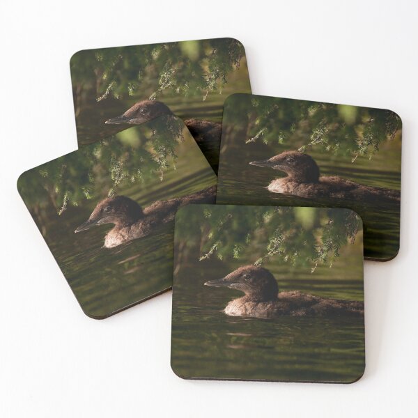 Item preview, Loon Chick 3 designed and sold by Loon-Images.