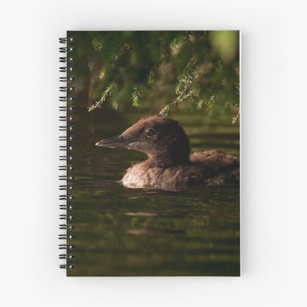 Item preview, Loon Chick 3 designed and sold by Loon-Images.
