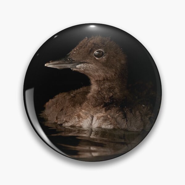 Item preview, Loon Chick 2 designed and sold by Loon-Images.