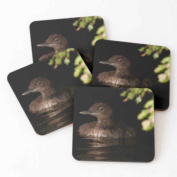 Item preview, Loon Chick 2 designed and sold by Loon-Images.