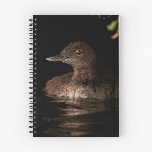Item preview, Loon Chick 2 designed and sold by Loon-Images.