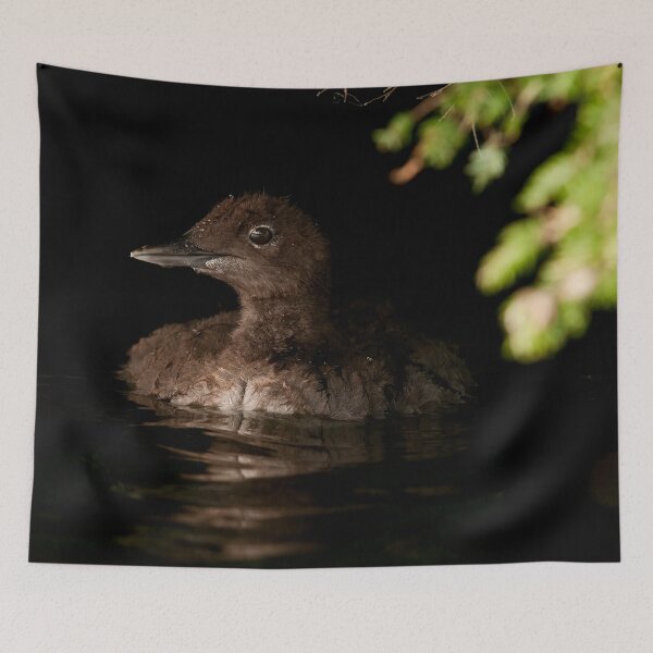Item preview, Loon Chick 2 designed and sold by Loon-Images.