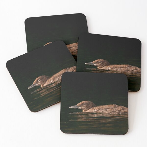 Item preview, Loon Chick designed and sold by Loon-Images.