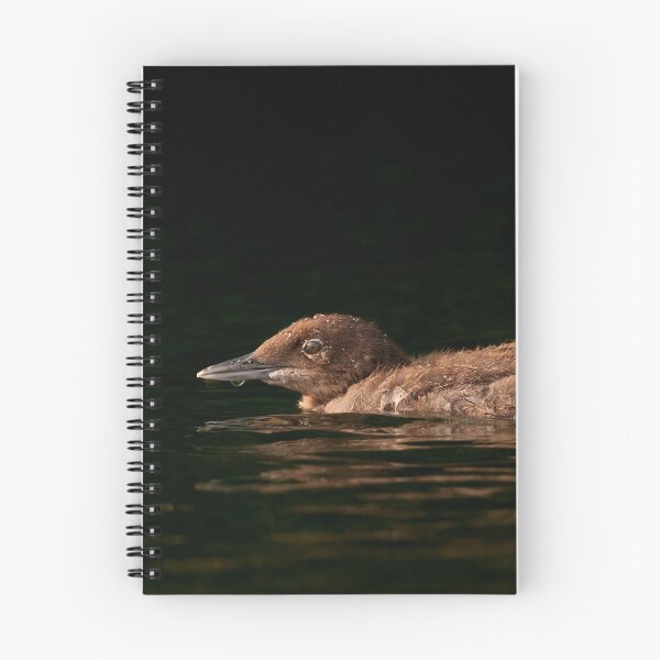 Item preview, Loon Chick designed and sold by Loon-Images.