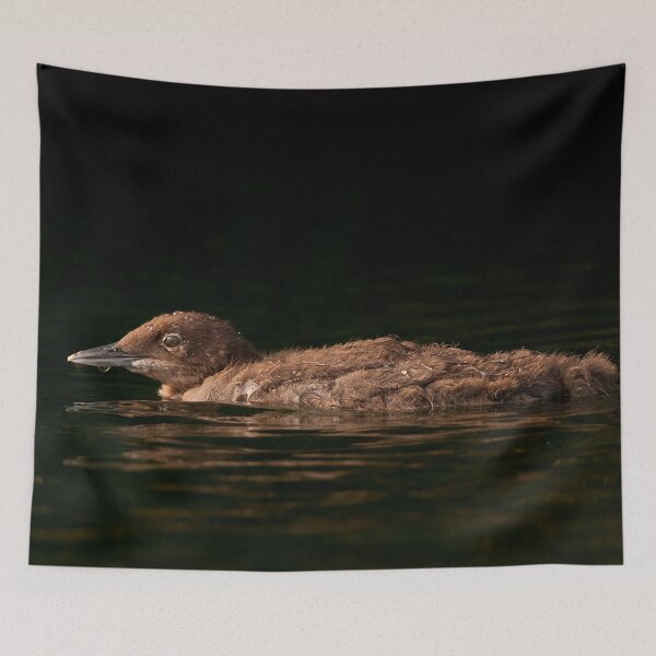 Item preview, Loon Chick designed and sold by Loon-Images.