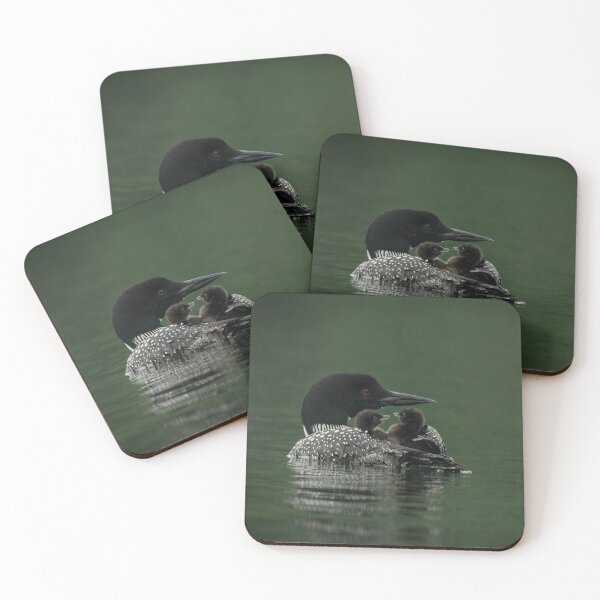 Item preview, Common Loon And Chick designed and sold by Loon-Images.