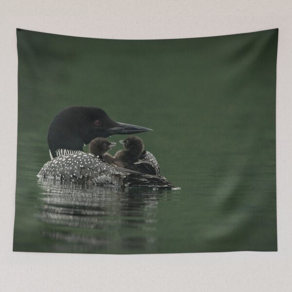 Item preview, Common Loon And Chick designed and sold by Loon-Images.