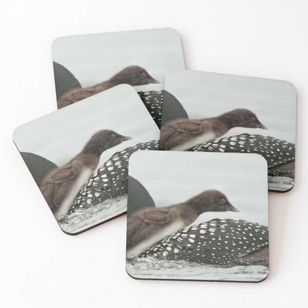 Item preview, Common Loon And Chick designed and sold by Loon-Images.