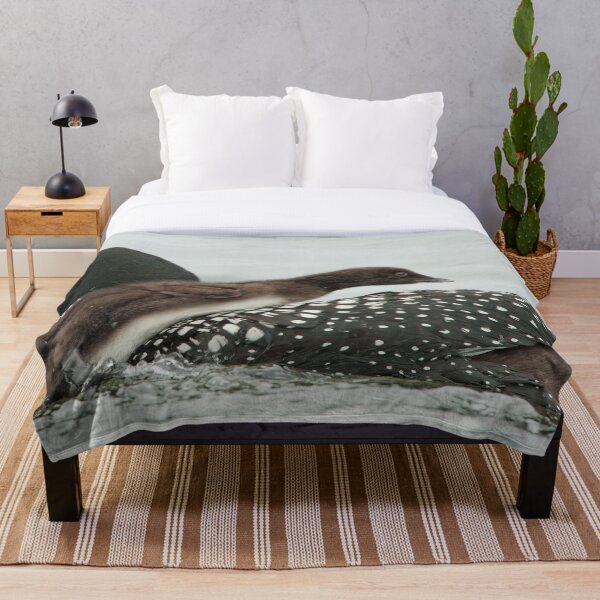 Item preview, Common Loon And Chick designed and sold by Loon-Images.