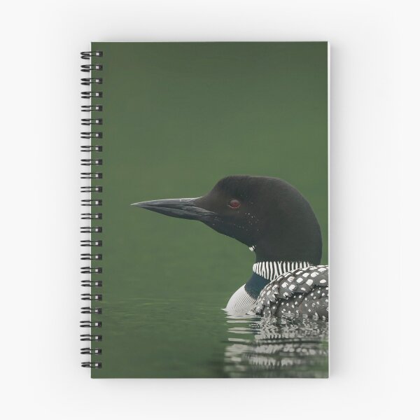 Item preview, Common Loon And Chick designed and sold by Loon-Images.