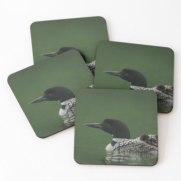 Item preview, Common Loon And Chick designed and sold by Loon-Images.