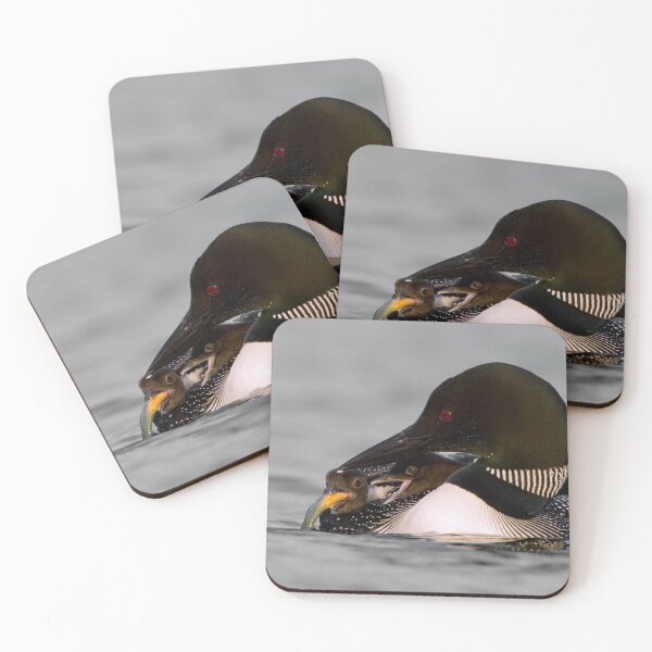 Item preview, Common Loon And Chick designed and sold by Loon-Images.