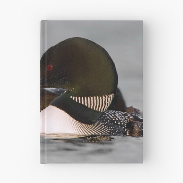 Item preview, Common Loon And Chick designed and sold by Loon-Images.