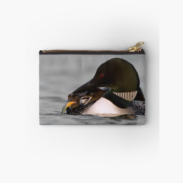 Item preview, Common Loon And Chick designed and sold by Loon-Images.