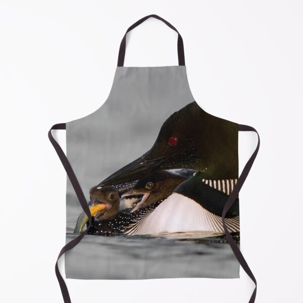 Item preview, Common Loon And Chick designed and sold by Loon-Images.