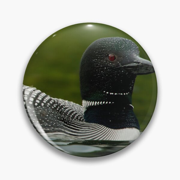 Item preview, Common Loon And Chick designed and sold by Loon-Images.