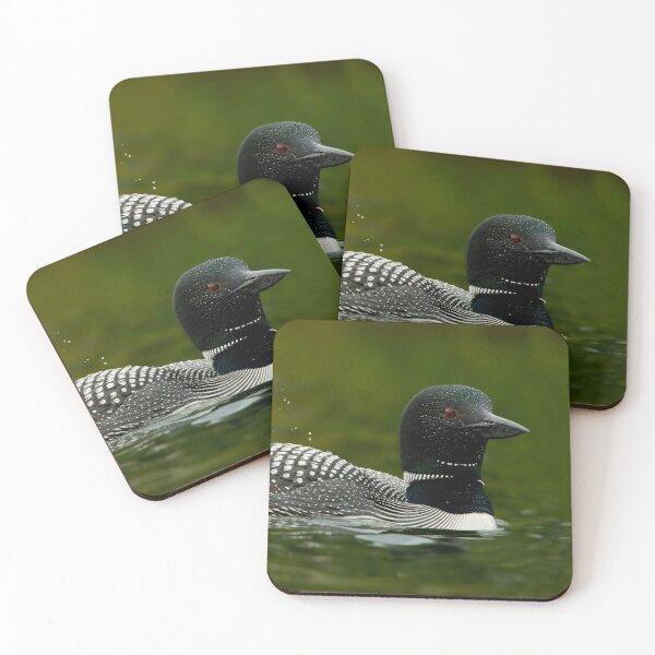 Item preview, Common Loon And Chick designed and sold by Loon-Images.