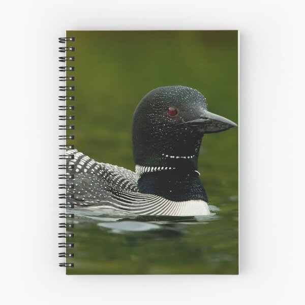 Item preview, Common Loon And Chick designed and sold by Loon-Images.