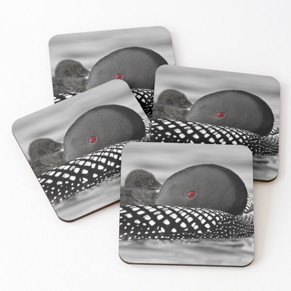 Item preview, Common Loon And Chick designed and sold by Loon-Images.
