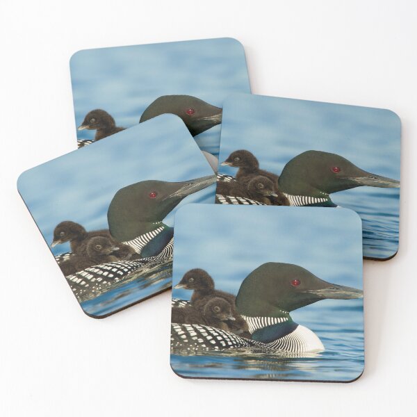 Item preview, Common Loon And Chick designed and sold by Loon-Images.