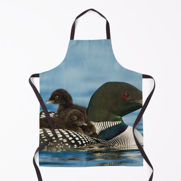 Item preview, Common Loon And Chick designed and sold by Loon-Images.