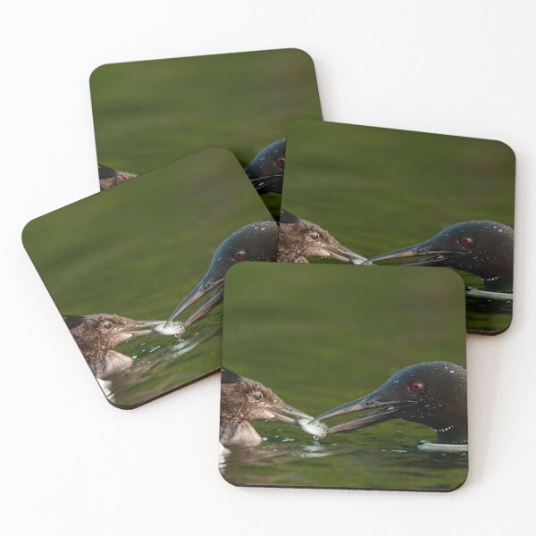 Item preview, Common Loon And Chick designed and sold by Loon-Images.