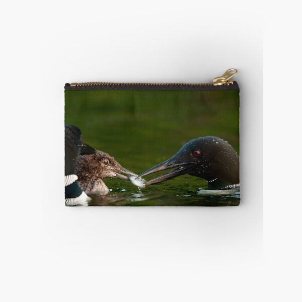 Item preview, Common Loon And Chick designed and sold by Loon-Images.