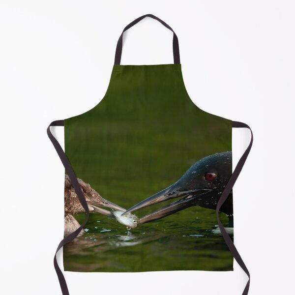 Item preview, Common Loon And Chick designed and sold by Loon-Images.