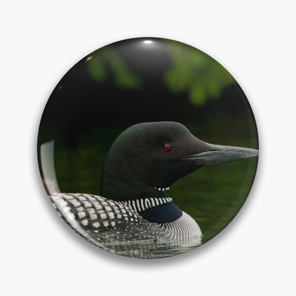 Item preview, Common Loon And Chick designed and sold by Loon-Images.