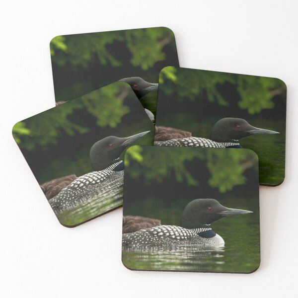 Item preview, Common Loon And Chick designed and sold by Loon-Images.