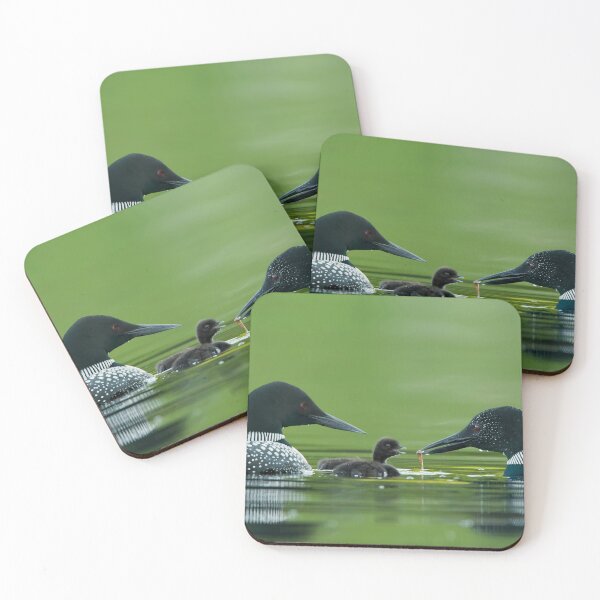 Item preview, Common Loon And Chick designed and sold by Loon-Images.