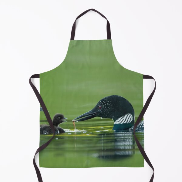 Item preview, Common Loon And Chick designed and sold by Loon-Images.