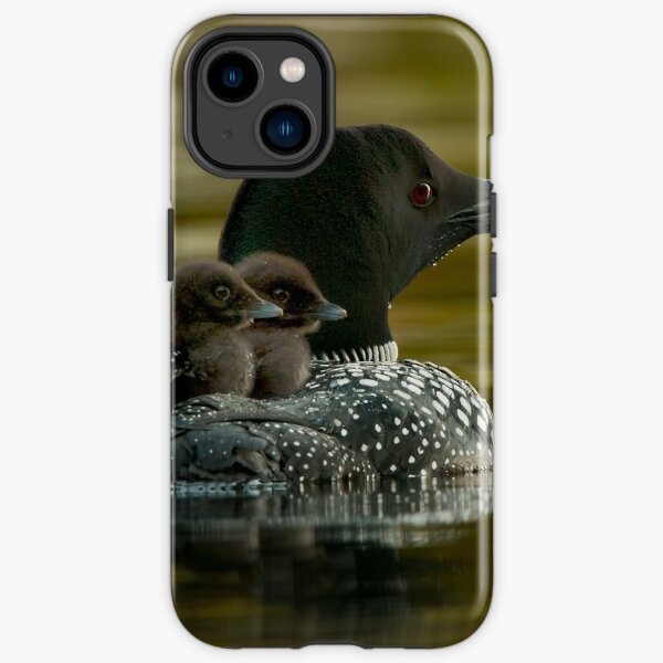 Loon Phone Cases for Sale Redbubble