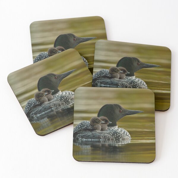 Item preview, Common Loon And Chick designed and sold by Loon-Images.
