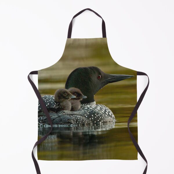 Item preview, Common Loon And Chick designed and sold by Loon-Images.