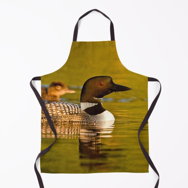 Item preview, Common Loon And Chick designed and sold by Loon-Images.