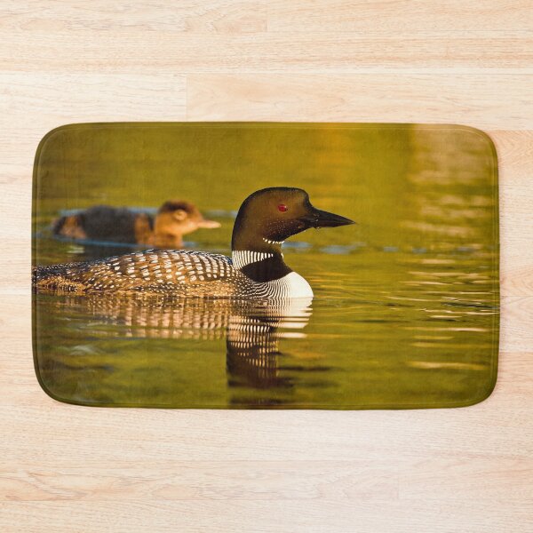 Item preview, Common Loon And Chick designed and sold by Loon-Images.