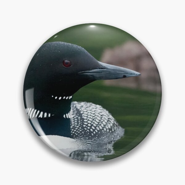 Item preview, Common Loon And Chick designed and sold by Loon-Images.