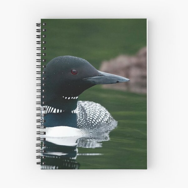 Item preview, Common Loon And Chick designed and sold by Loon-Images.