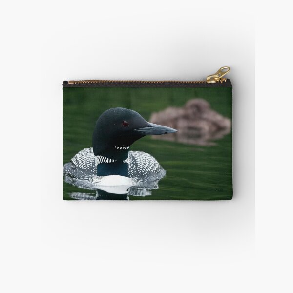 Item preview, Common Loon And Chick designed and sold by Loon-Images.