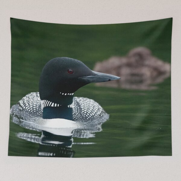 Item preview, Common Loon And Chick designed and sold by Loon-Images.