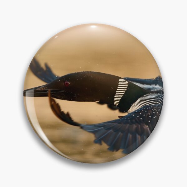 Item preview, Common Loon designed and sold by Loon-Images.