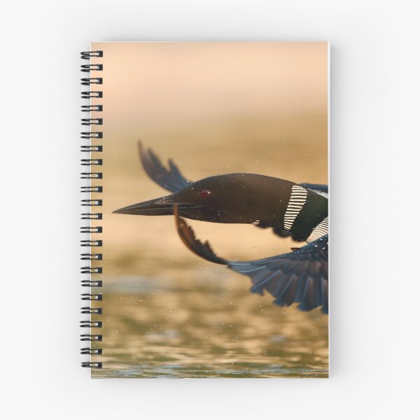 Item preview, Common Loon designed and sold by Loon-Images.