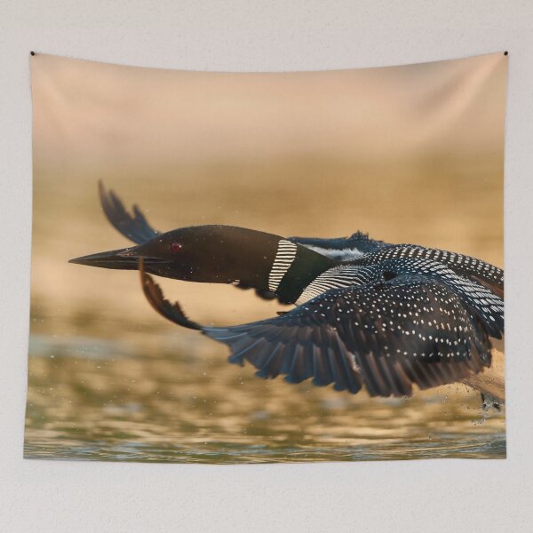 Item preview, Common Loon designed and sold by Loon-Images.