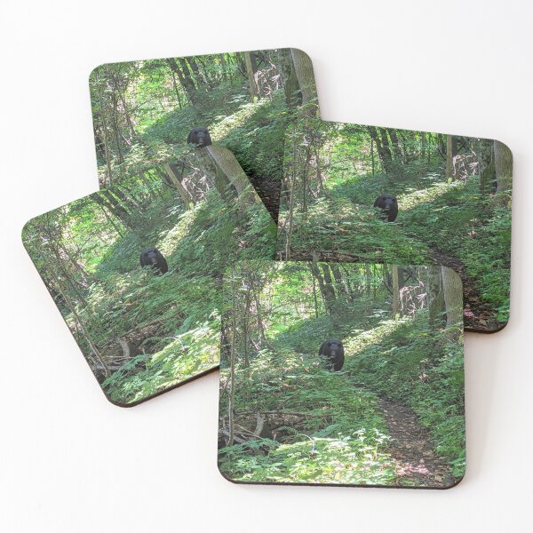 Item preview, Sharing the Trail designed and sold by Ryan Stephens.